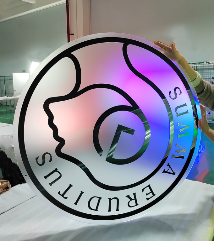 Custom Frosted Acrylic Backlit LED Sign with Mirror Metal Effect for Business Logo