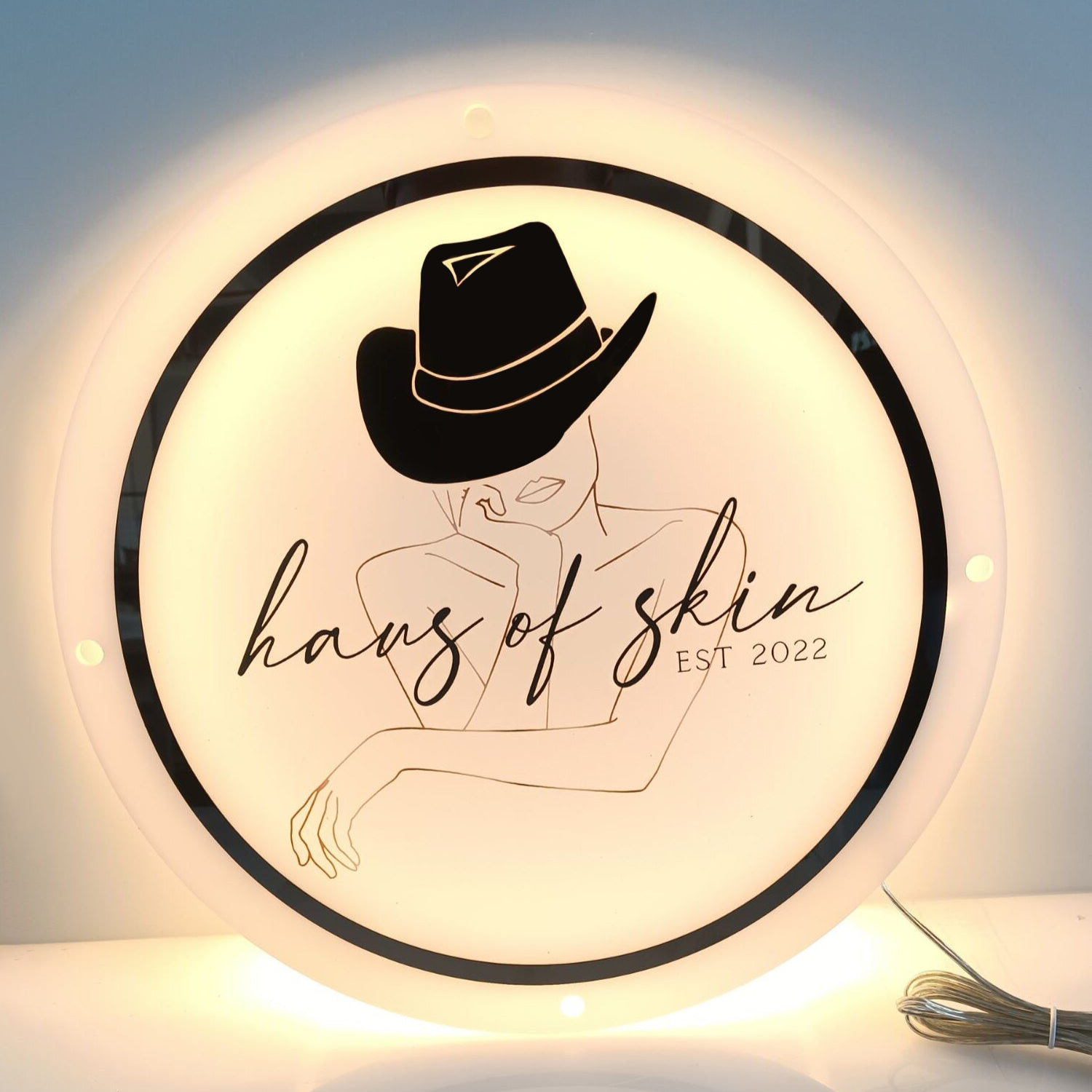 Custom Frosted Acrylic Backlit LED Sign with Mirror Metal Effect for Business Logo