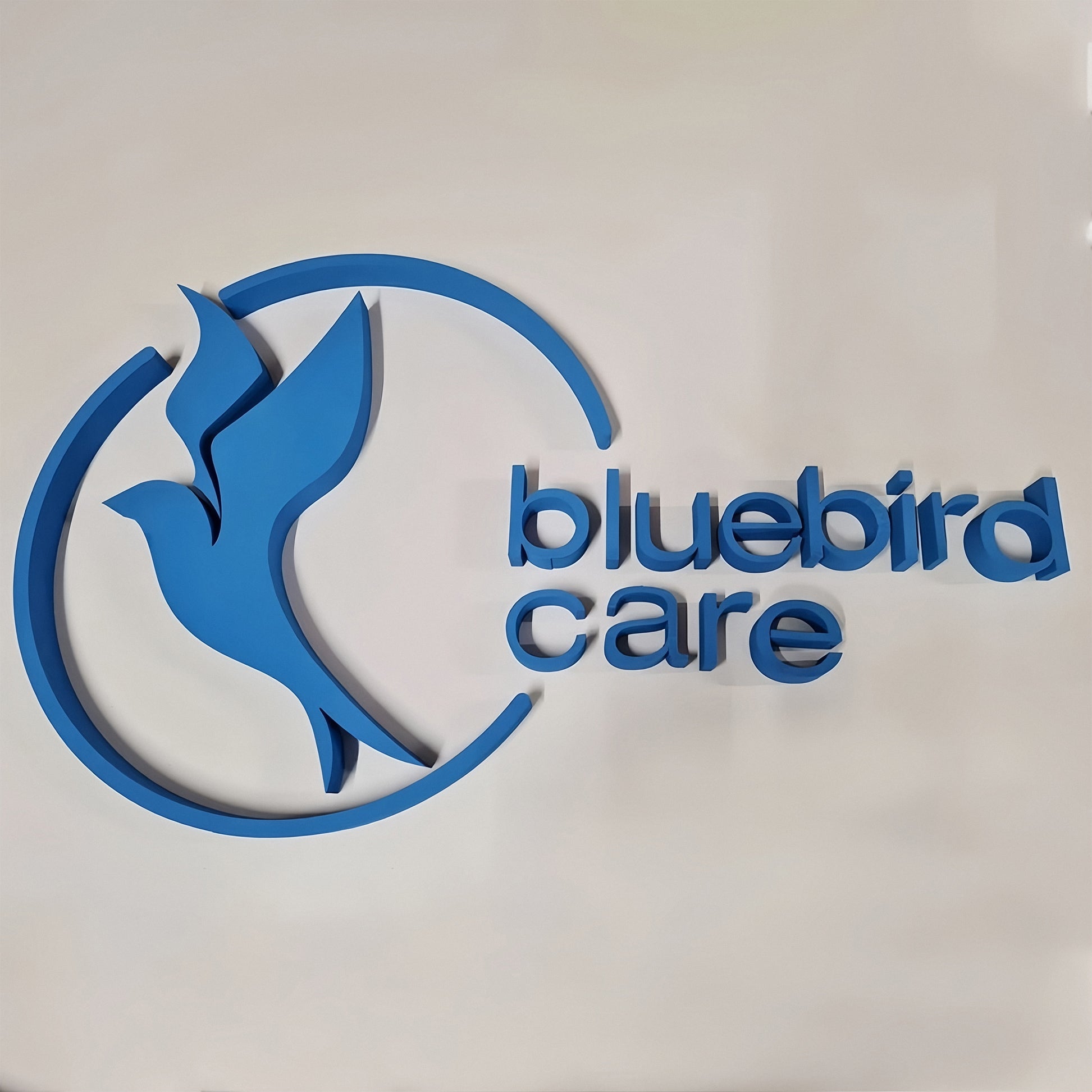 Personalized Colorful Metal Backlit Sign Office Wall Decor Sign