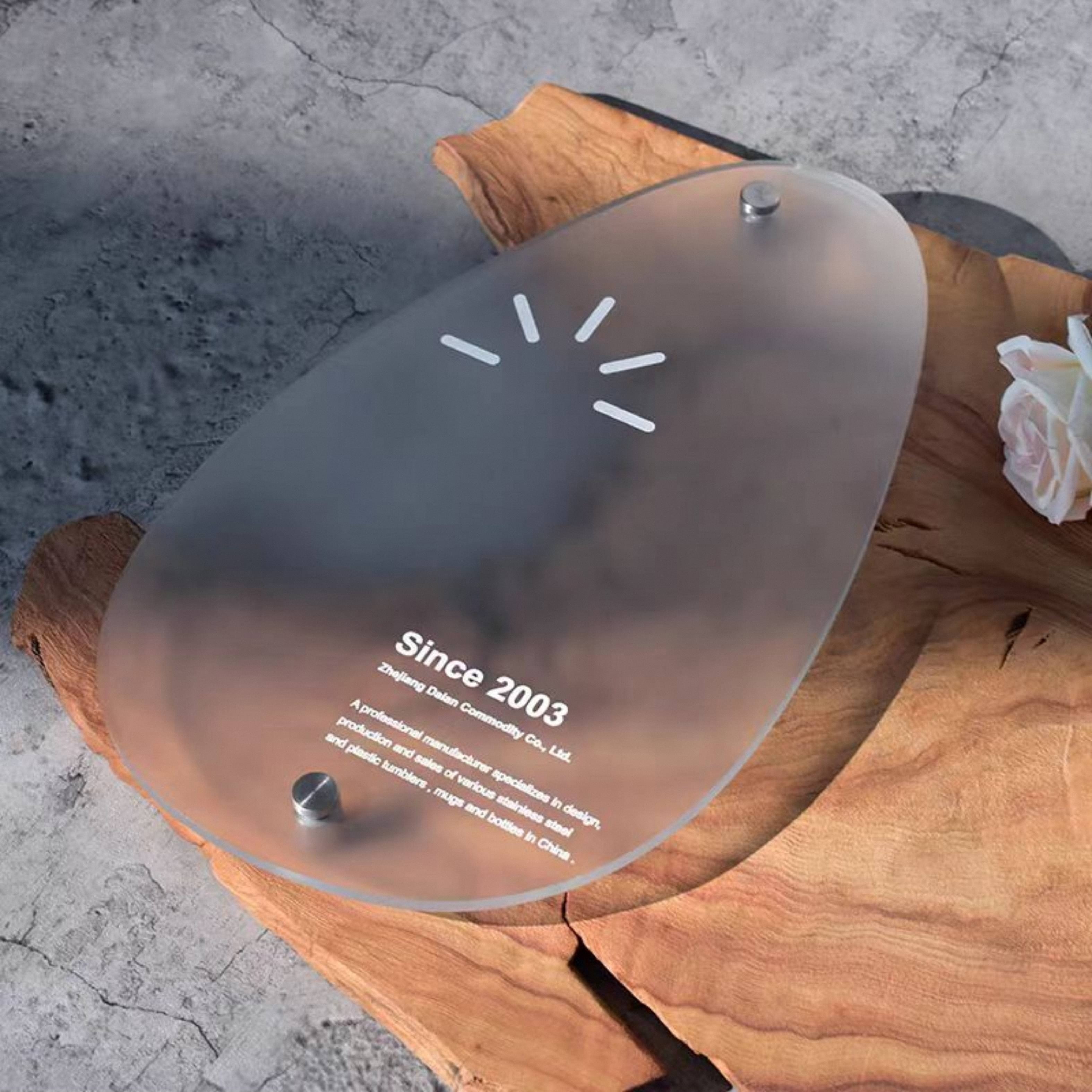 Acrylic Business Logo Storefront Sign for Office, Beauty Salon